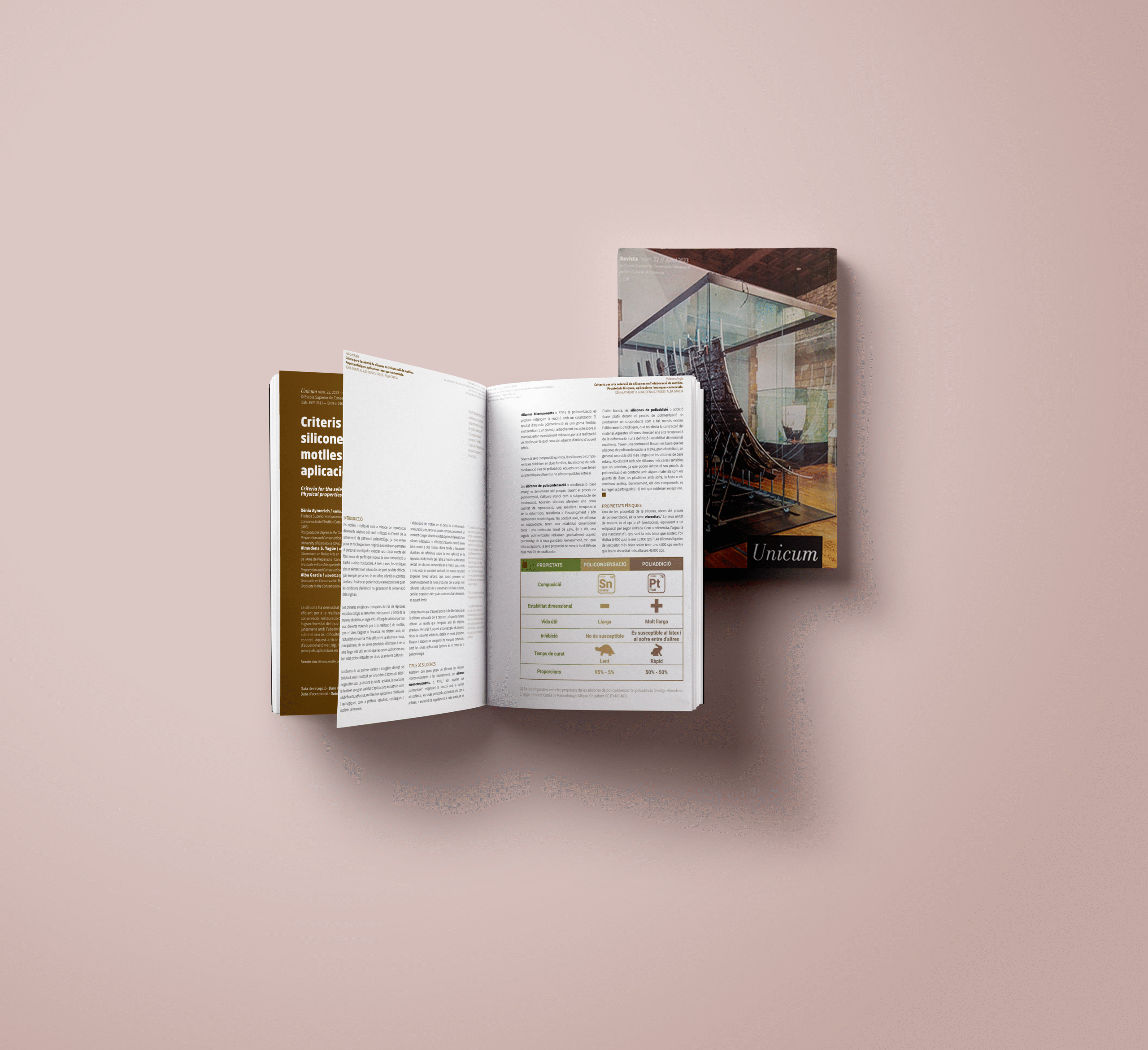 The use of silicone in heritage conservation: a methodological approach