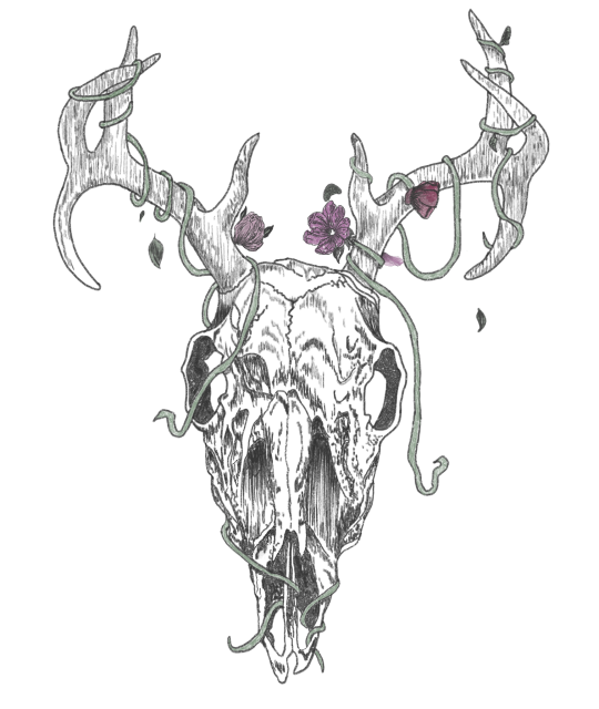 ilustracion-paleontologia